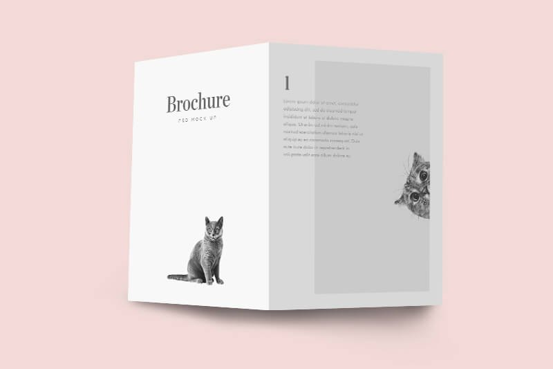 Bifold Brochure PSD Mockup