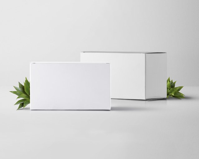 Rectangular Box Free Psd Mockup Planetmockup